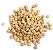 CHICKPEA